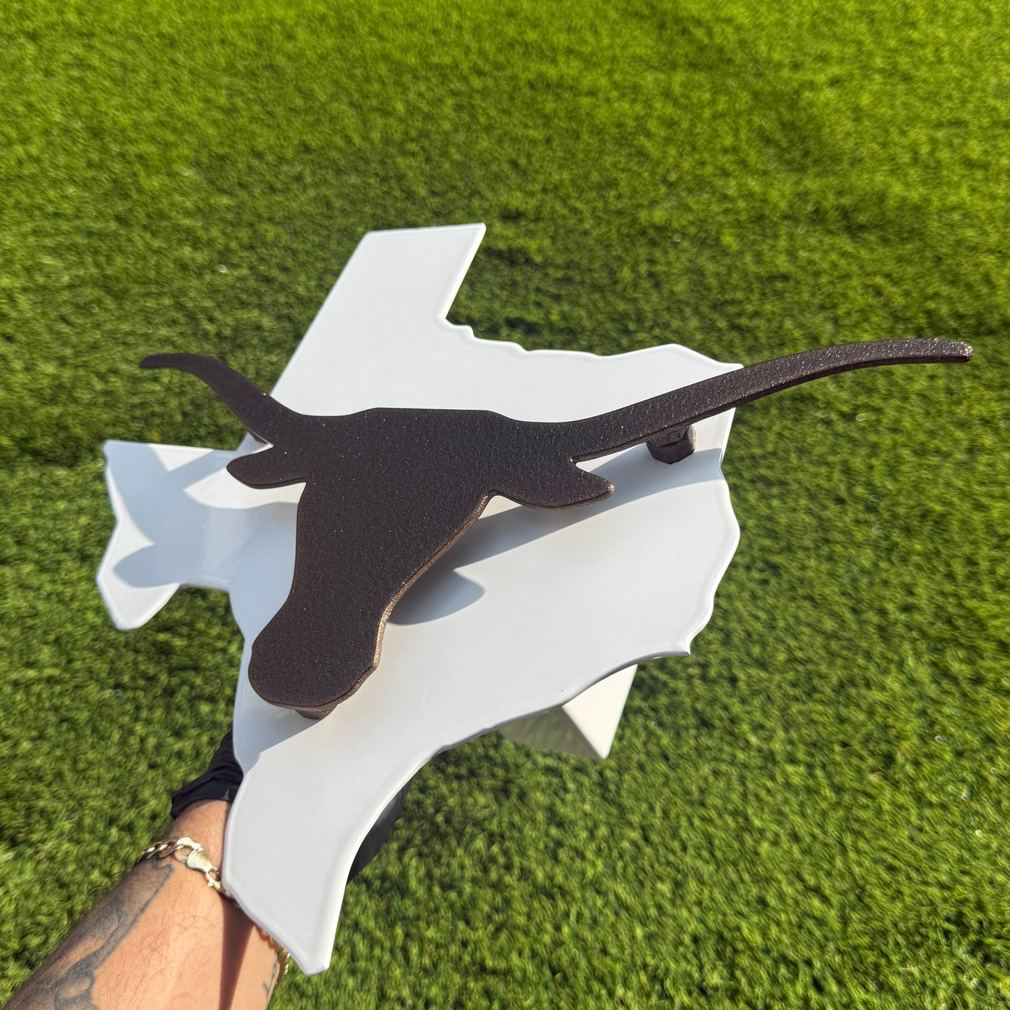 TEXAS LONGHORN
