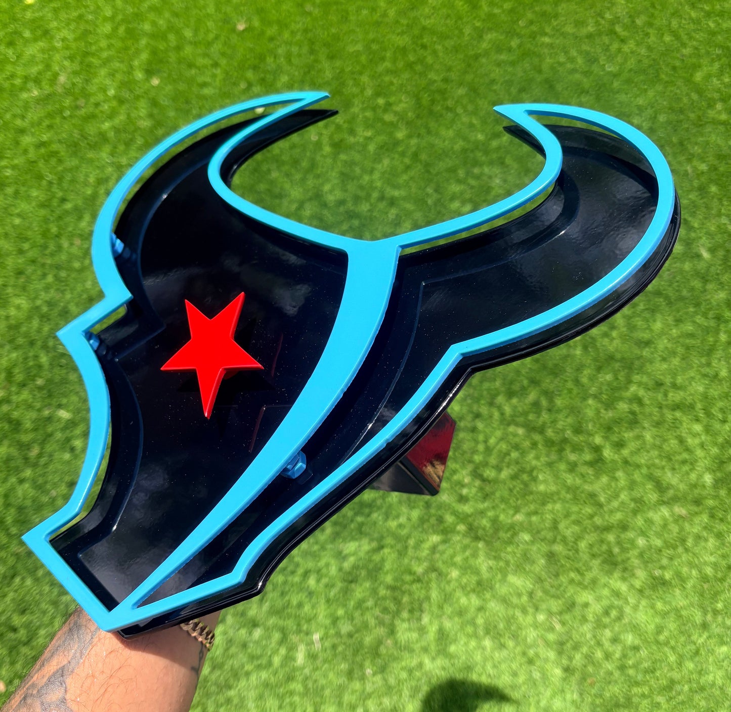 TEXANS BULL