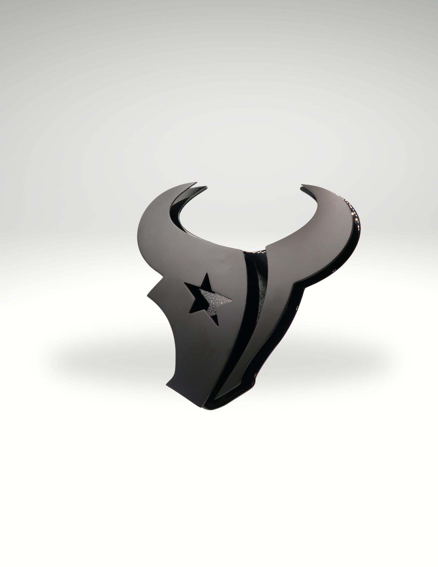 Houston Texans Blk/Blk Hitch