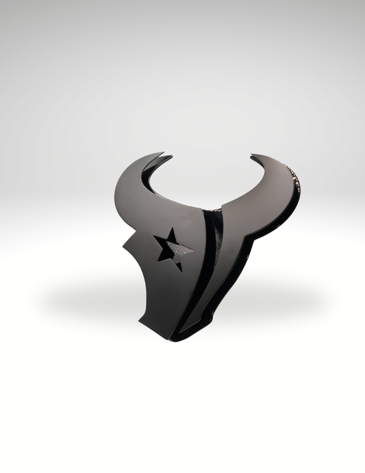 Houston Texans Blk/Blk Hitch