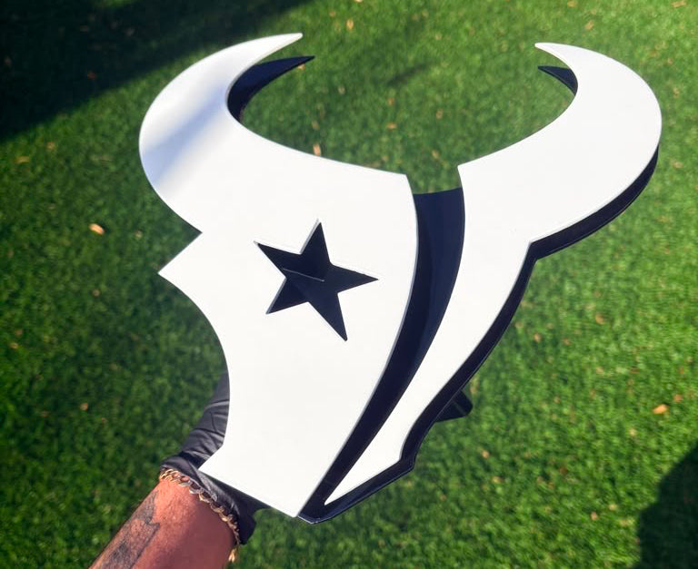 TEXANS BULL