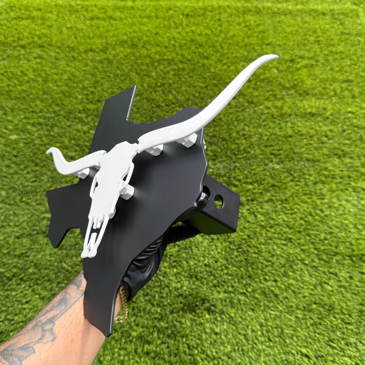 TEXAS SKULL LONGHORN
