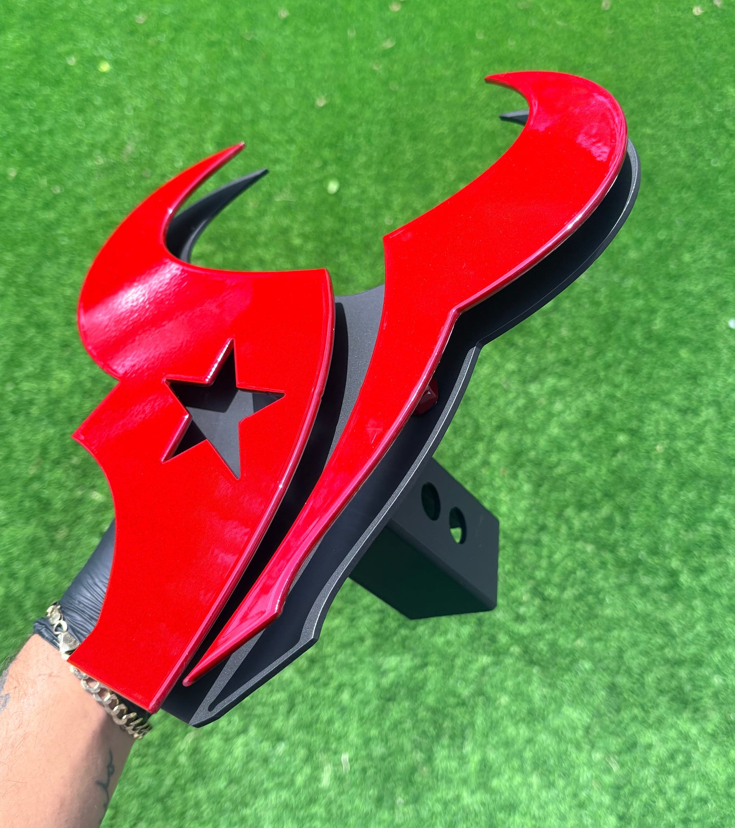 TEXANS BULL