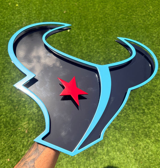 TEXANS BULL