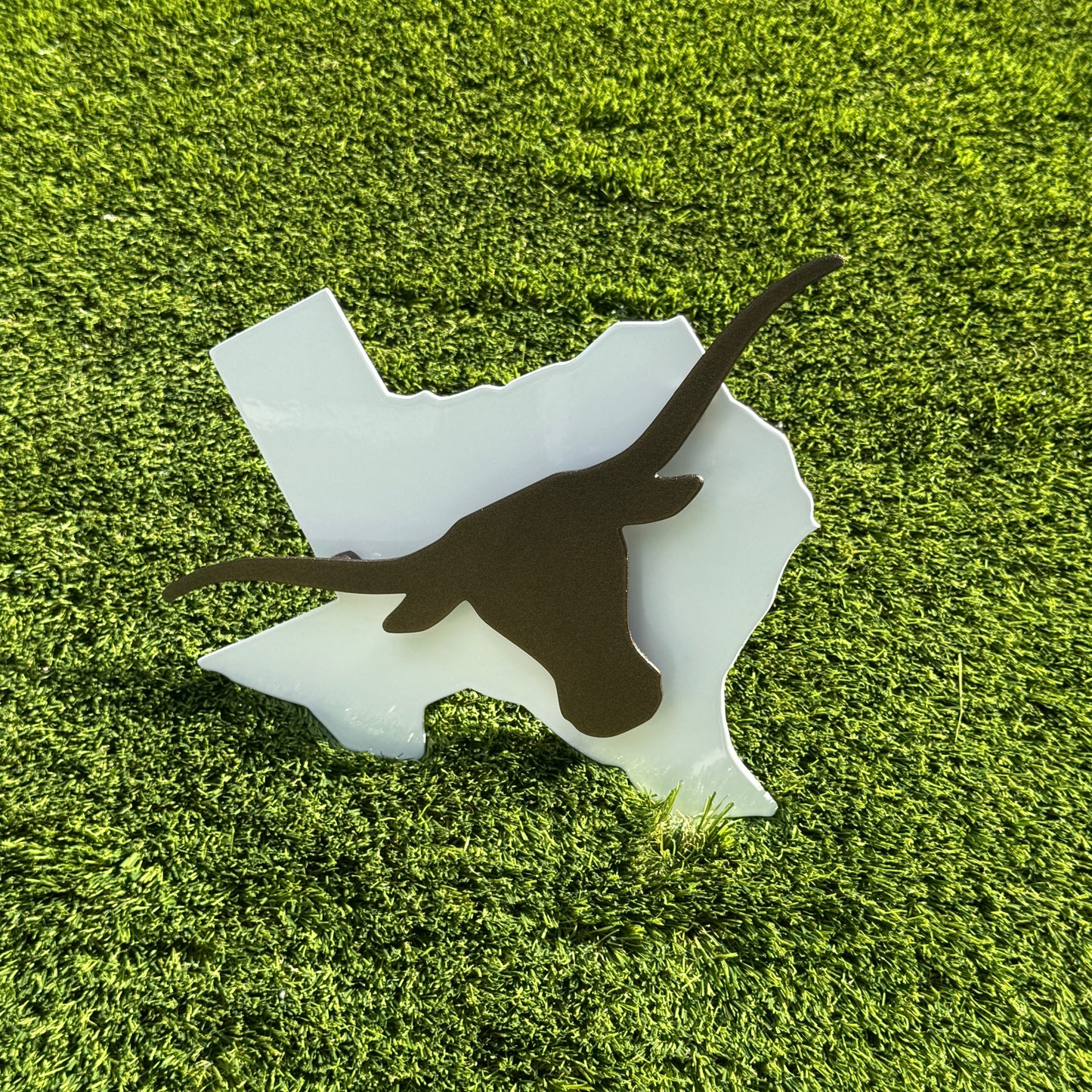 TEXAS LONGHORN