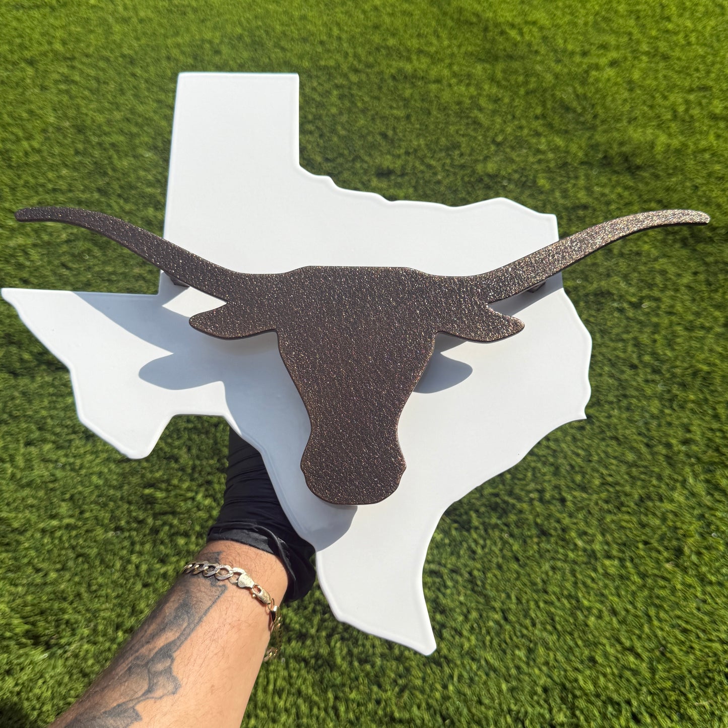 TEXAS LONGHORN