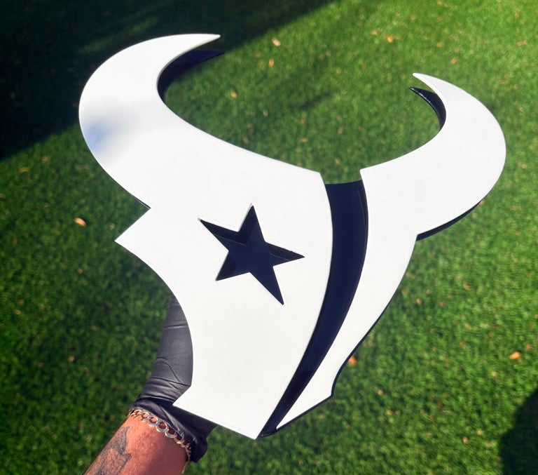 TEXANS BULL