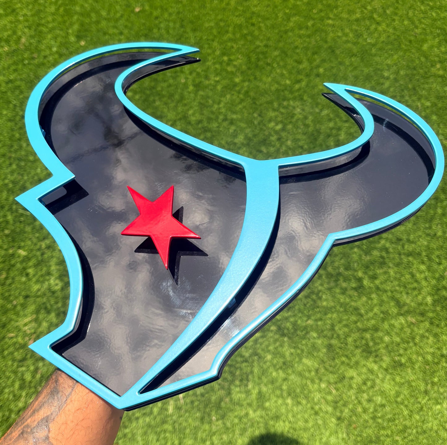 TEXANS BULL