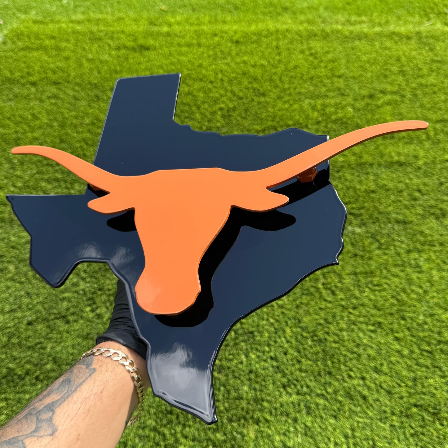 TEXAS LONGHORN